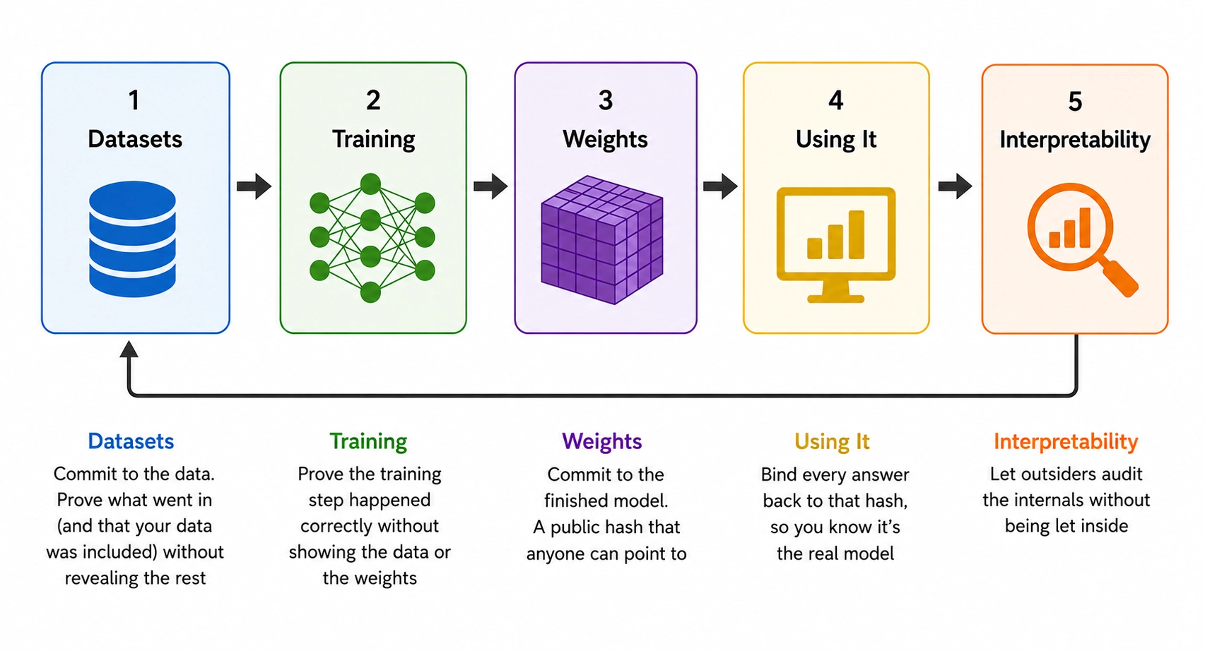 Each stage with its job: commit to the data, prove the training step, commit to the finished model, bind every answer back to that hash, and let outsiders audit the internals