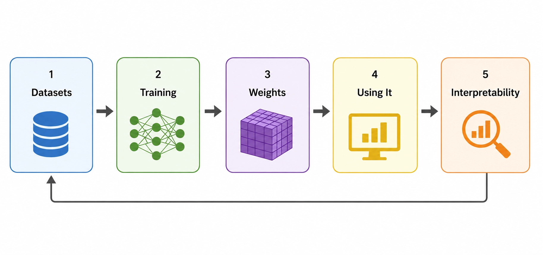 The lifecycle of an AI model: 1. Datasets, 2. Training, 3. Weights, 4. Using It, 5. Interpretability