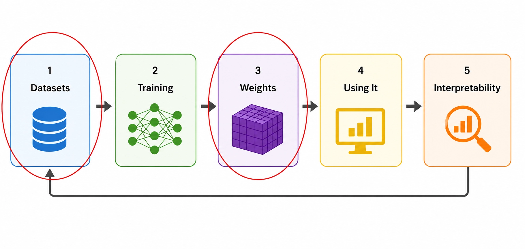 The datasets and weights stages of the pipeline