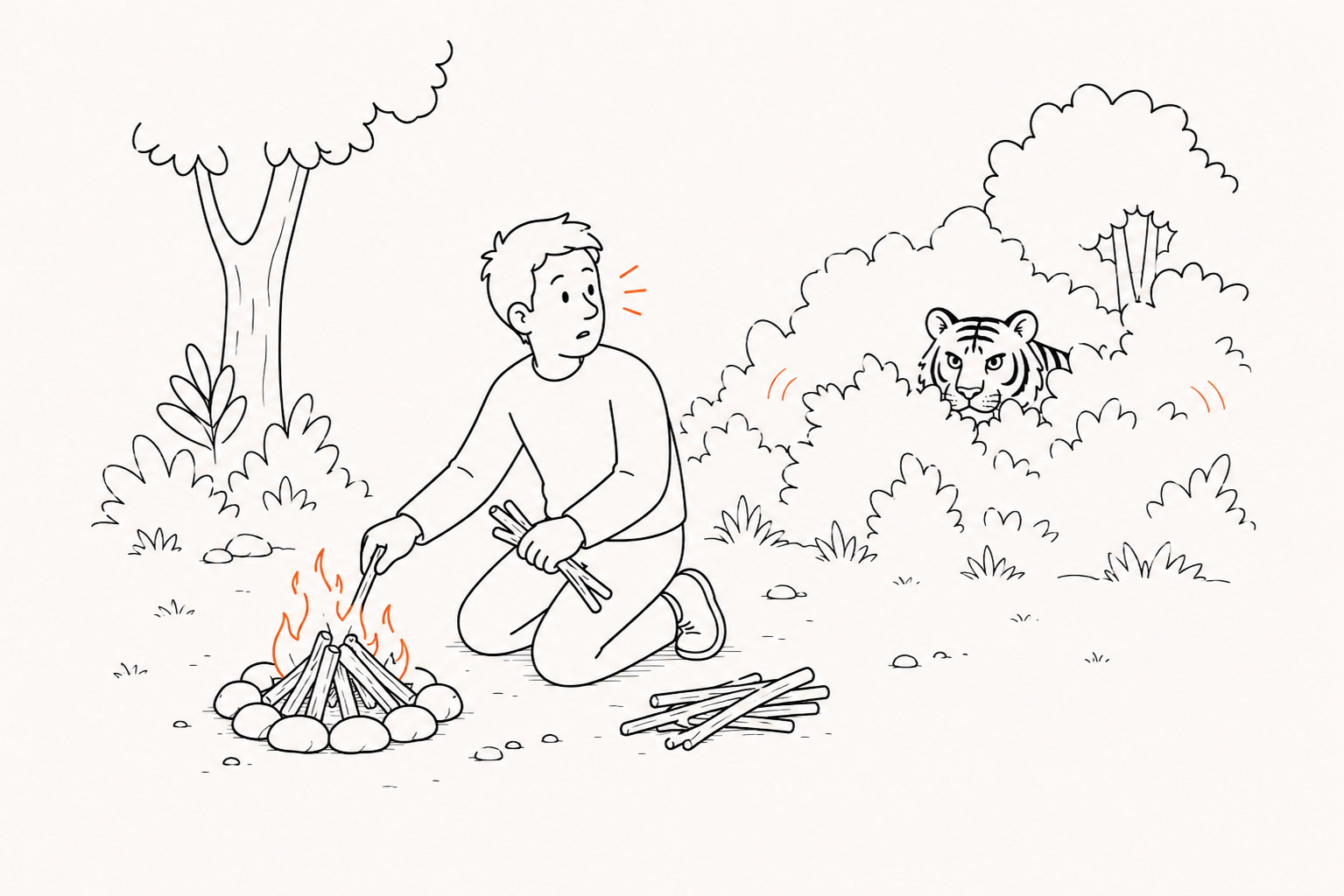 A person tending a campfire in the wild, distracted by a tiger watching from the bushes